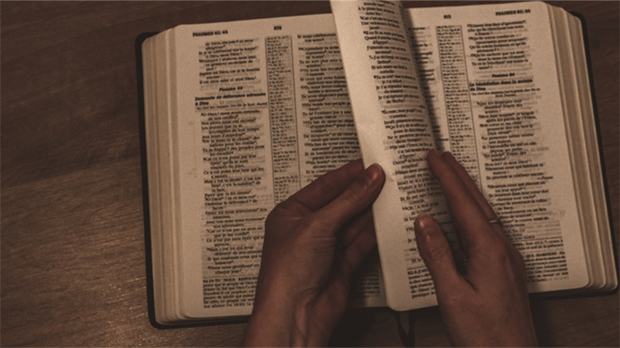 滞箱费英文怎么说