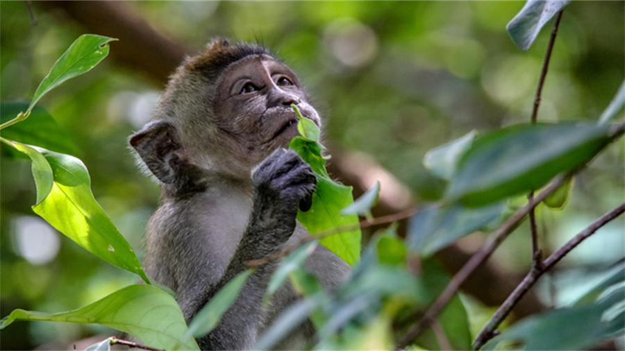 亚马逊客服怎么找