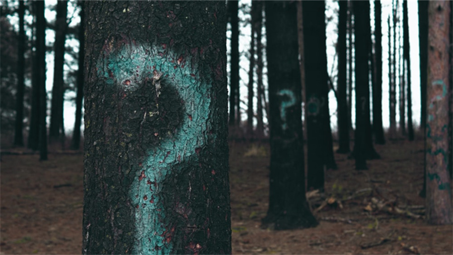 支付宝信用贷利息高吗