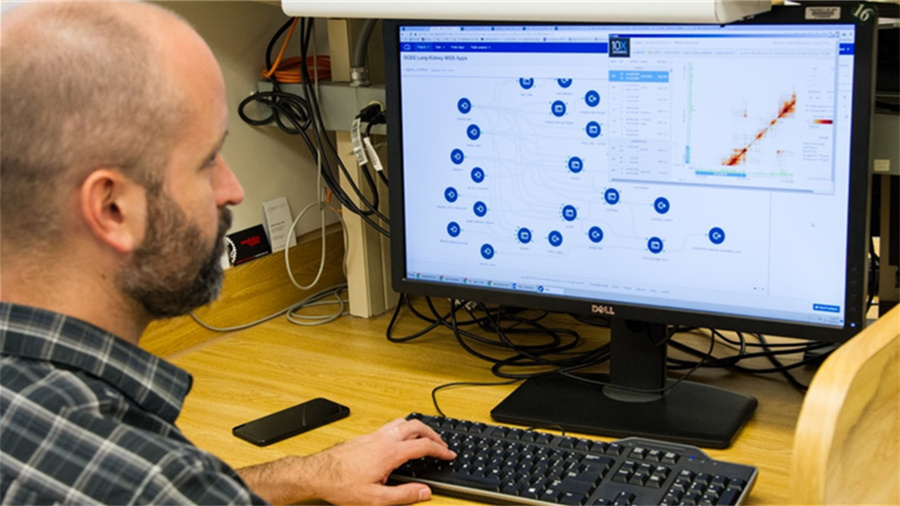 淘气值多久更新一次