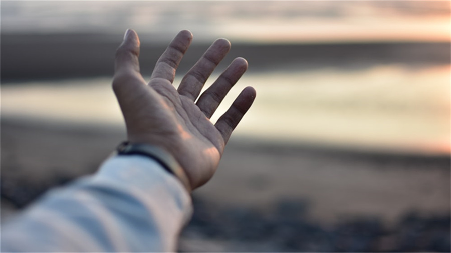 淘宝双十一哪家优惠力度最大