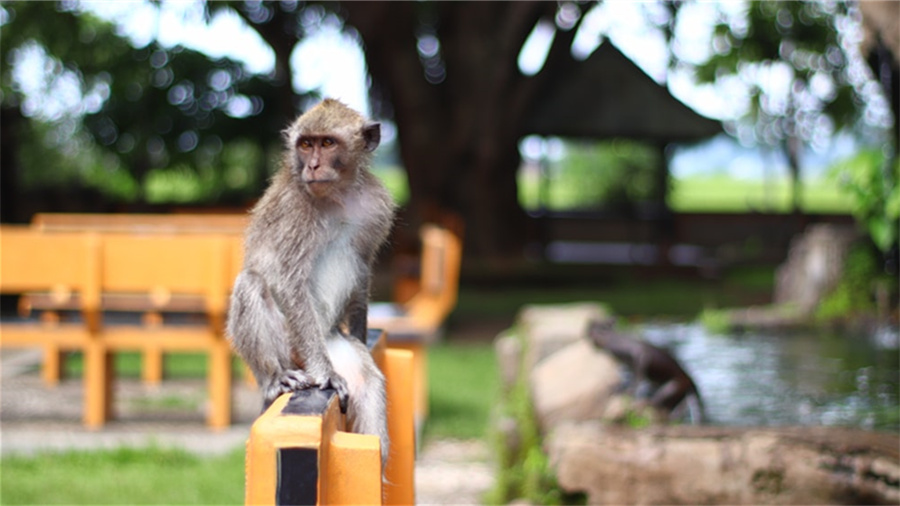 抖音发作品最佳时间是几点