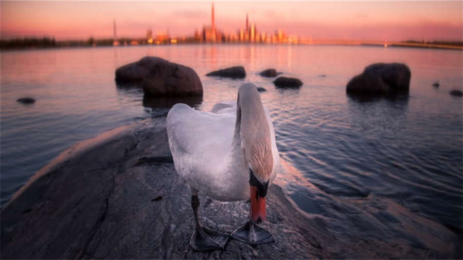 拼多多中秋节发货时间有延长吗