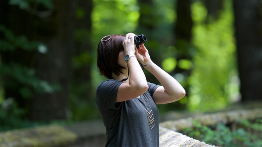 淘宝联盟代扣税要扣多少