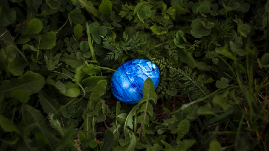 拼多多拉新用户给多少钱