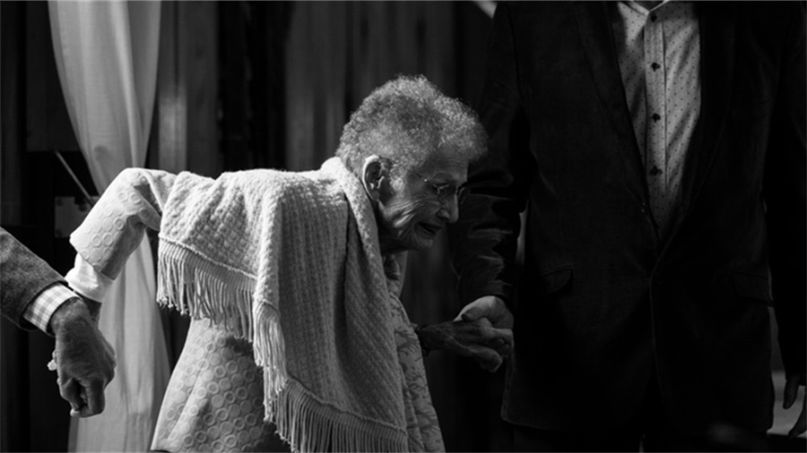 京东年卡plus有什么用