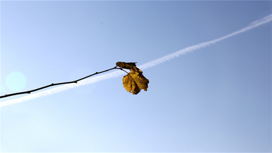 拼多多三项评分低有什么影响