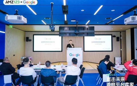 探索2025年新机遇，平台卖家的出海战略指南