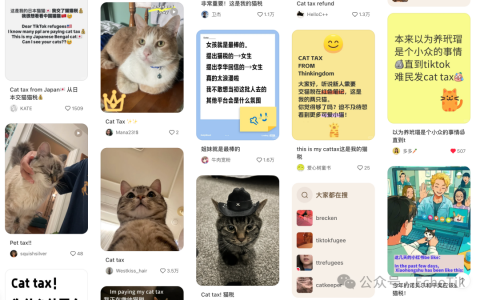 毛利率高品！这家小店靠售卖宠物防泥地垫在TikTok美国站卖出近300万美金！