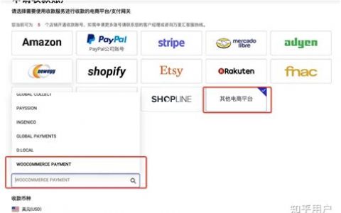 独立站收款怎么解决？2025年独立站支付收款最佳解决方案