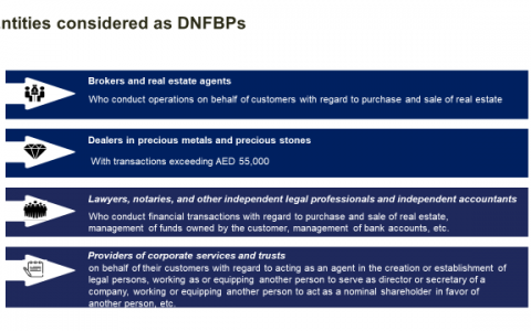 阿联酋“摘帽”欧盟高风险名单！监管升级下企业如何借机合规增效？