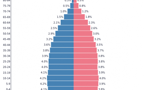 母婴消费另一个风口：月销百万，国产纸尿裤屠榜TikTok东南亚站