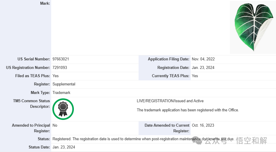 爆雷！已知200家店铺中招！附名单！Zulu表带、植物家居装饰和纳斯卡赛车商标维权！