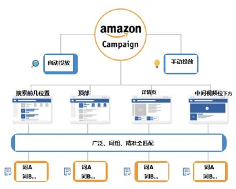 亚马逊开广告多久能出单？新手卖家如何加速广告出单效果