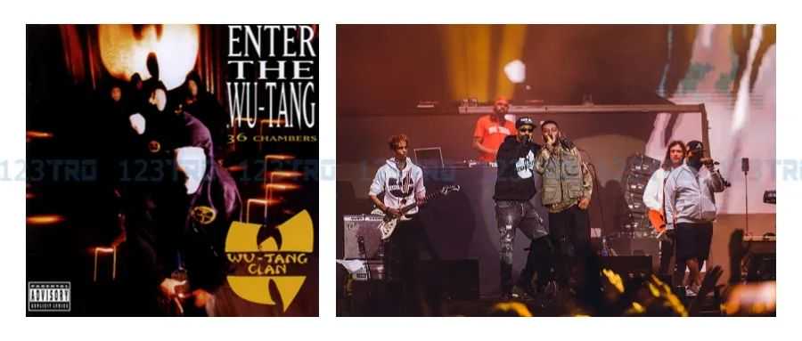 植物类抱枕成选品雷区!(13名中国卖家因税务被抓)