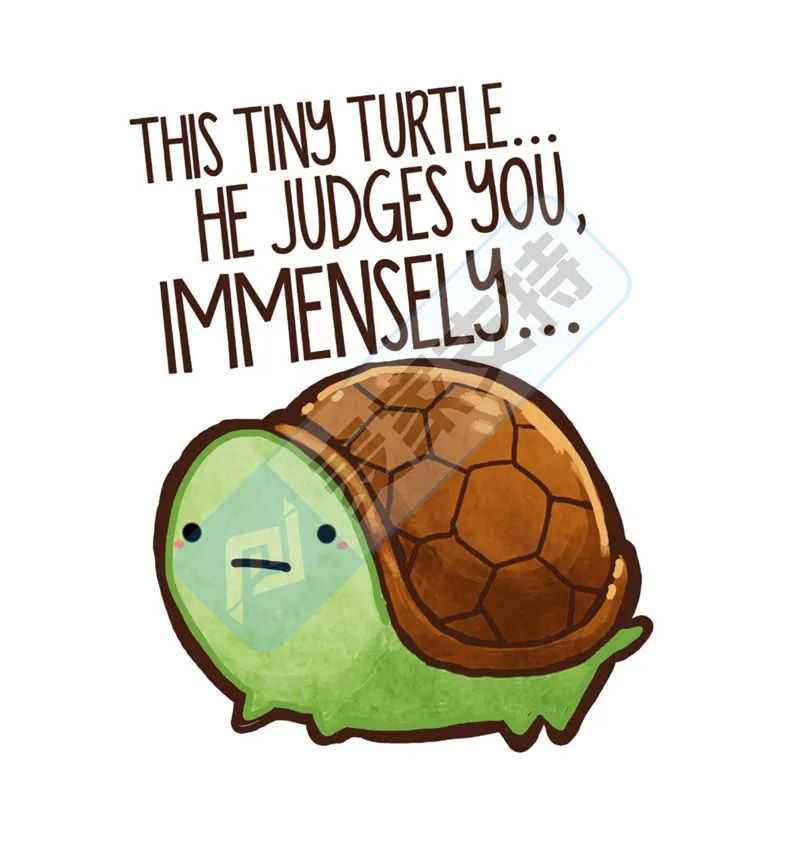 25-cv-09579，keith律所新案速递！花丛中的猫高危！