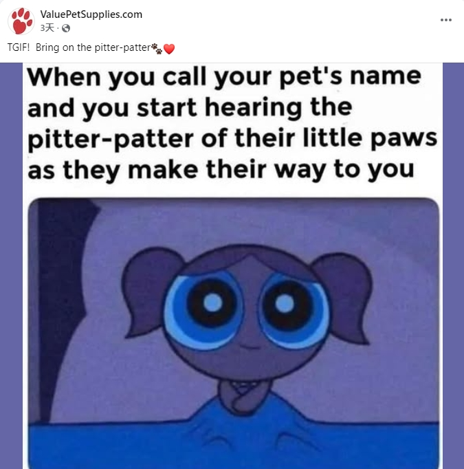 独立站优秀案例分析：宠物零食供应商如何兼顾零售与批发？